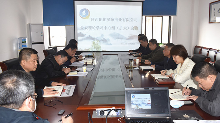 公司召开党委理论学习中心组学习（扩大）会议  学习贯彻党的二十大精神